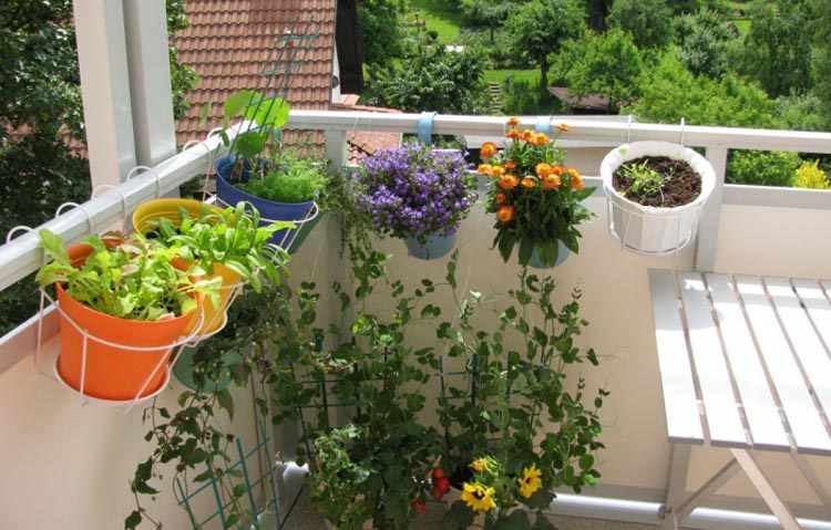 jardineria en el balcon