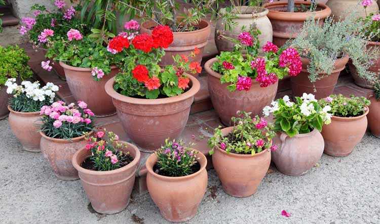 Macetas para decorar el jardin