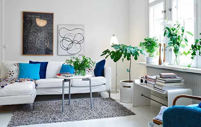 Plantas de interior más duraderas Plantas de interior más duraderas
