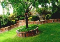 Como elegir un arbol para el jardin