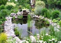 Jardin con plantas acuaticas