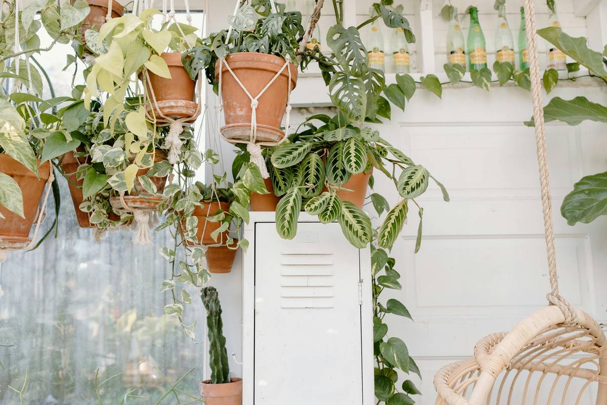 Jardineria urbana sostenible