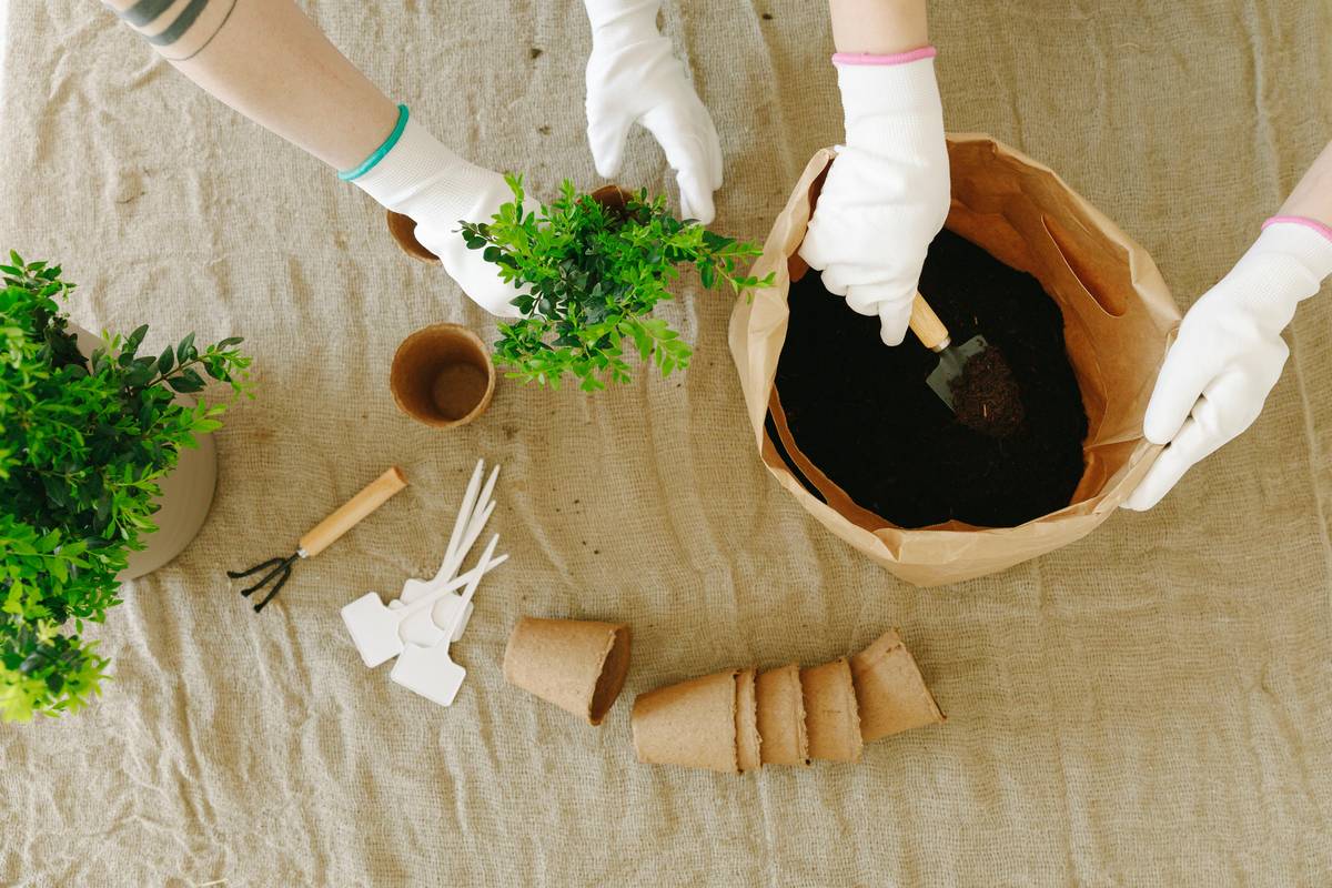 Beneficios de la Jardinería Sostenible